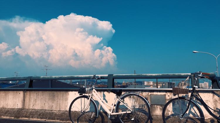 白いシャツの少年 【恋に焦がれて鳴く蝉よりも・番外編】