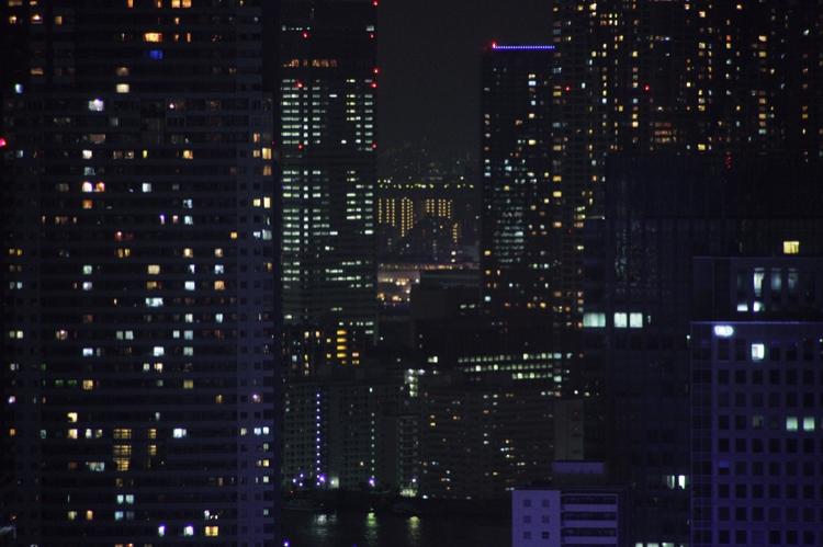 四角い部屋の水槽 【恋に焦がれて鳴く蝉よりも・番外編】