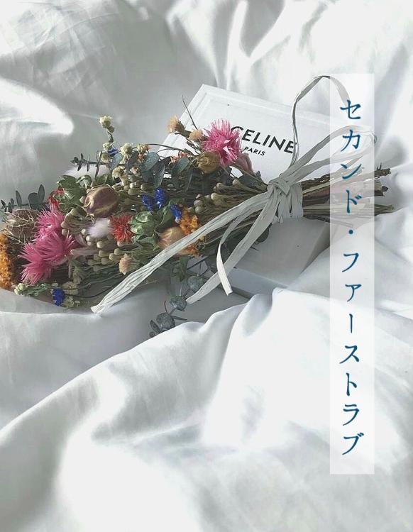 セカンド・ファーストラブ