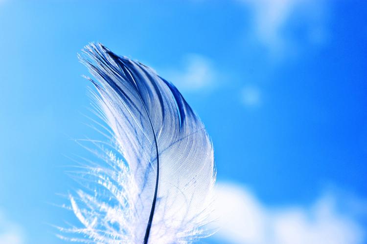 SKY BIRD〜空を逃げる殺し屋と鍵を持つ少女