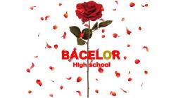 プライム高校バチェラー部!