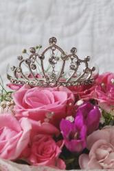 カモフラなのに溺愛されても困ります！