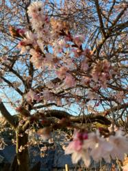 彼と出会って世界が変わった・・・