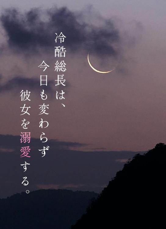 冷酷総長は、今日も変わらず彼女を溺愛する。【After Story】