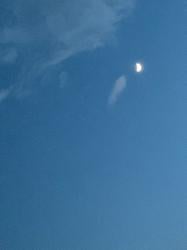 あめのような恋だった