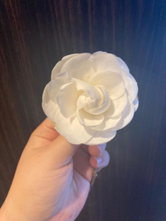 新約『言葉の花束』