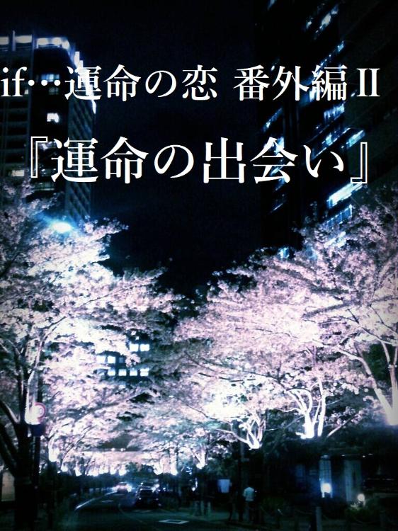 if…運命の恋 番外編Ⅱ『運命の出会い』