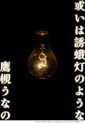 或いは誘蛾灯のような