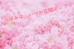 つぽみは、いつか花開く