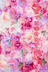 今世では幸せにする~天才召喚士オルタンシアは自ら召喚され、一生をソナタに捧げたい。