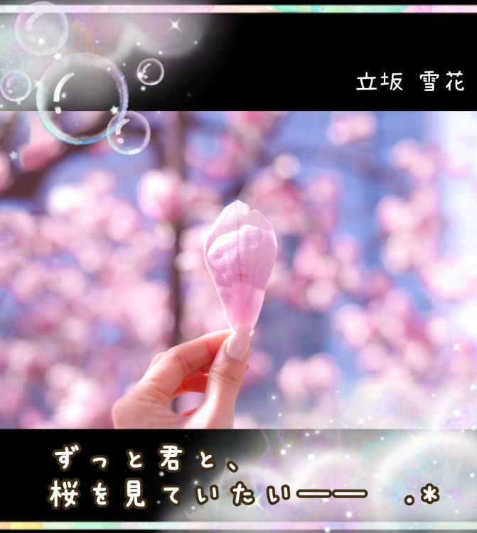 ずっと君と、桜を見ていたい――❀.*゚