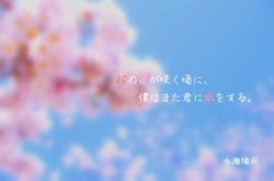 桜の花が咲く頃に、僕はまた君に恋をする。