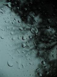 気まぐれランデブー