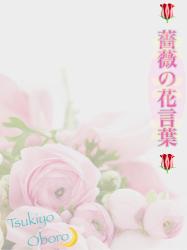 薔薇の花言葉 ［サファイア・ラグーン２作目］