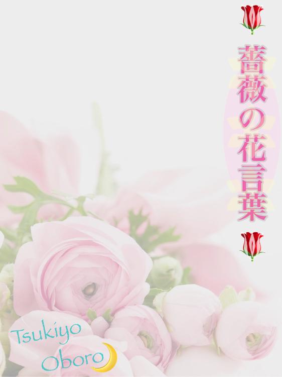 薔薇の花言葉 ［サファイア・ラグーン２作目］