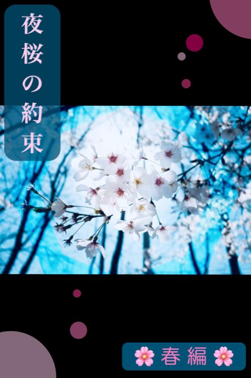 ＊夜桜の約束＊  ―春―
