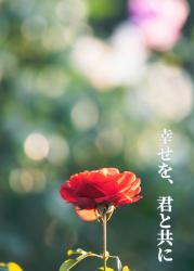 幸せを、君と共に