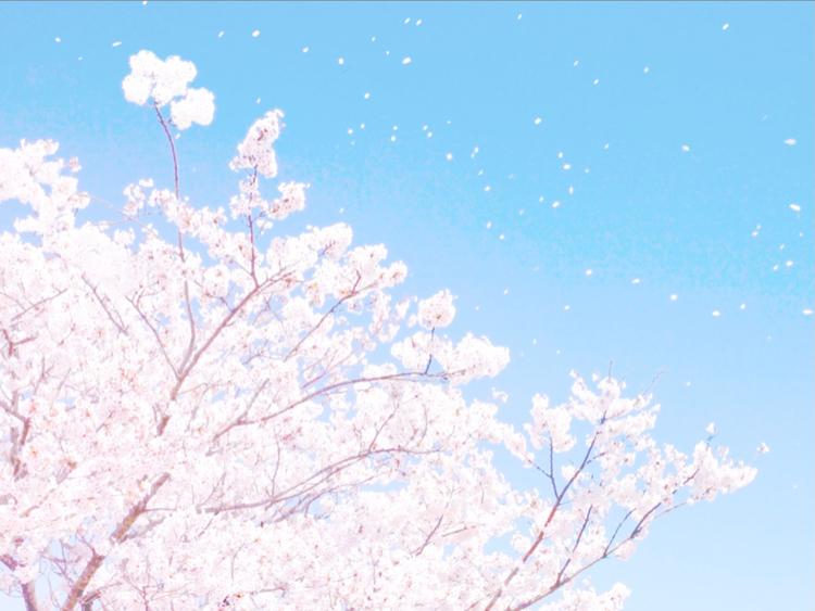 liella〜思いをつないで〜