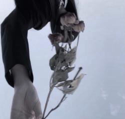 僕は今でも彼女のことが大好きだ