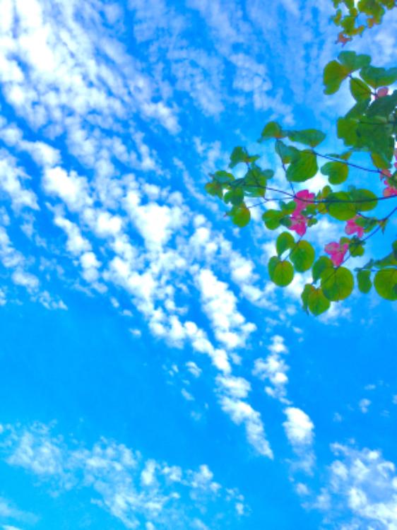 叶わないんだよ