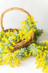 君の隣は誰にも譲れない