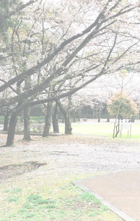 いつまでもキミの記憶に残りたい。