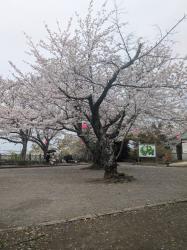 foreverlove〜時を超えて紡ぐ想い