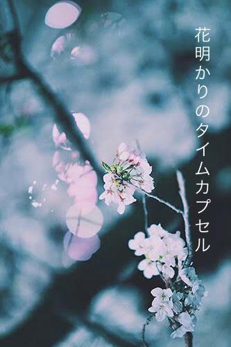 花明かりのタイムカプセル