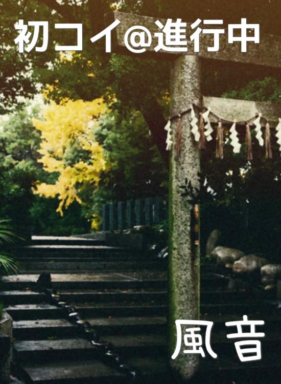 初コイ@進行中