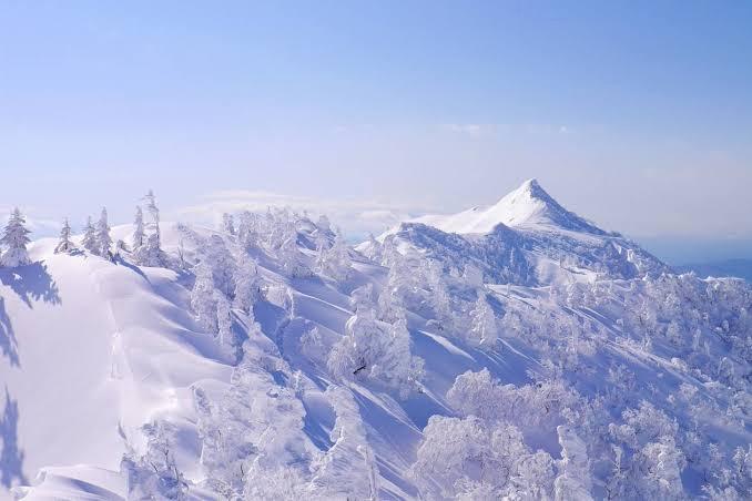 北里稲が作っていた続き