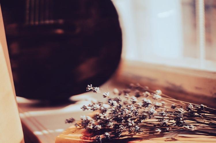 病んだ心をつまびいて