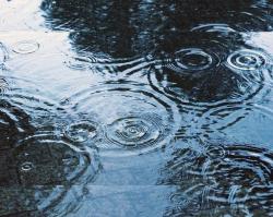 From that rainy Day.～あの雨の日から。～