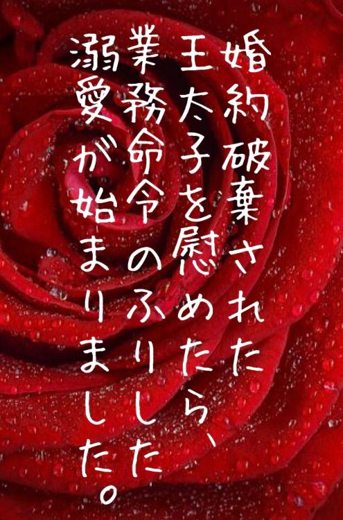婚約破棄された王太子を慰めたら、業務命令のふりした溺愛が始まりました。