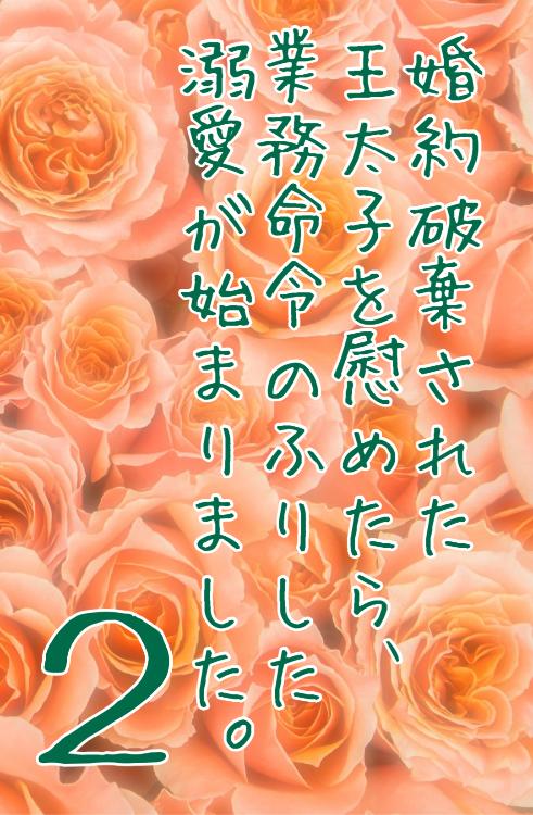 婚約破棄された王太子を慰めたら、業務命令のふりした溺愛が始まりました。２