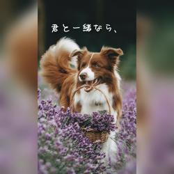 君と一緒なら、