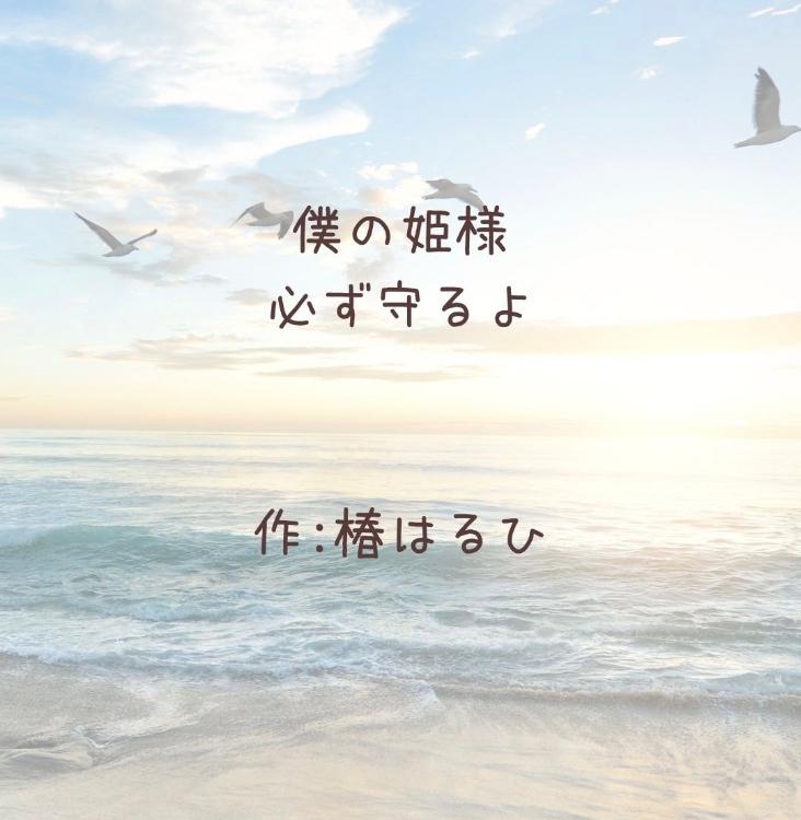 僕の姫様、必ず守るよ