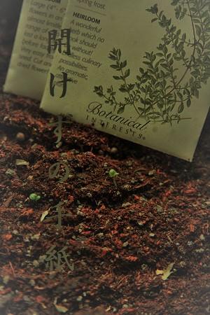 開けずの手紙ー完全版ー/長編呪い系ホラー【完結】