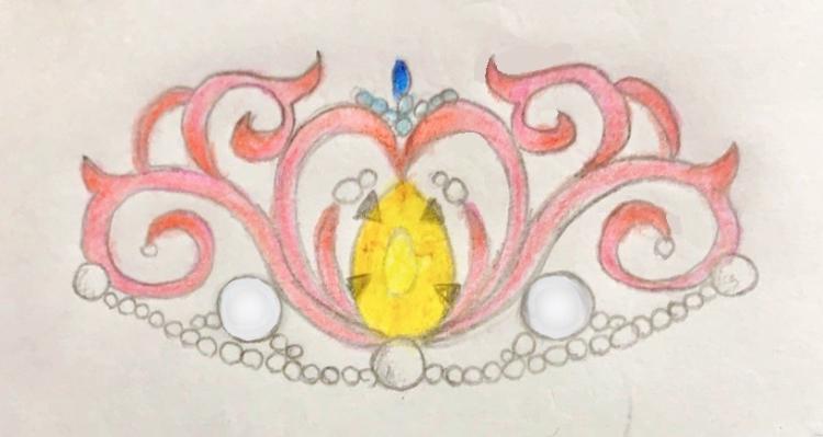 公正を誓う最強総長は、姫を溺愛する。