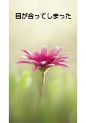 目が合ってしまった