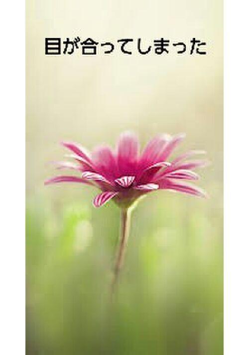 目が合ってしまった