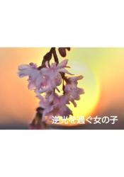 逆光を過ぐ女の子