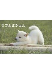 ラブとミシェル