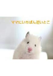 ママにいちばん近いとこ
