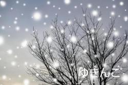 ゆきんこ