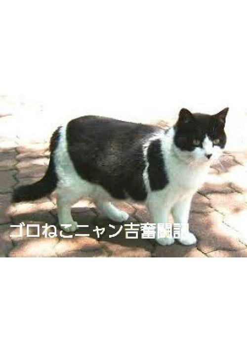 ゴロねこニャン吉奮闘記