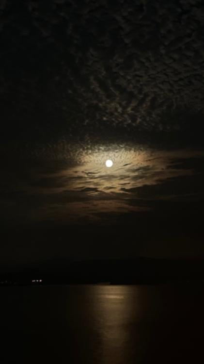 君がくれた世界はとても美しかった。