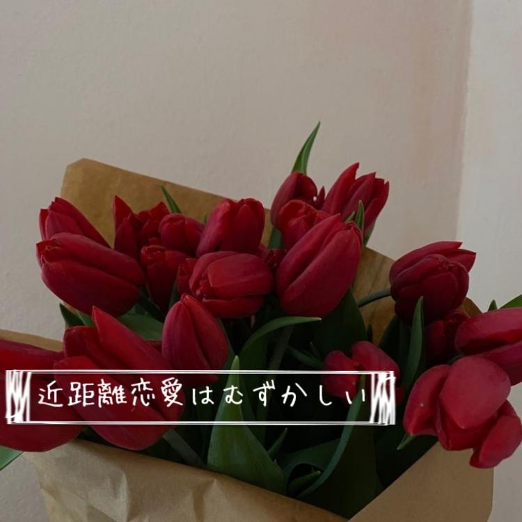 近距離恋愛はむずかしい