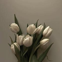 彼のヒロインになる方法