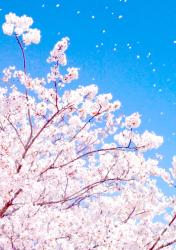 今日も〜力よりも大切なもの〜