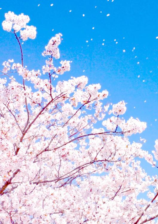 今日も〜力よりも大切なもの〜